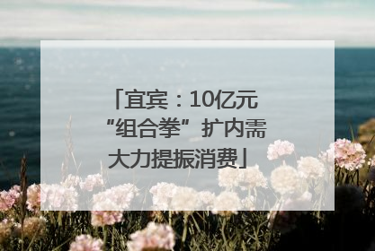 宜宾：10亿元“组合拳”扩内需 大力提振消费