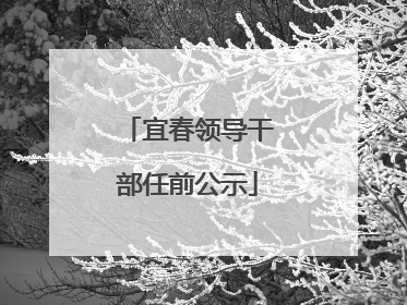 宜春领导干部任前公示