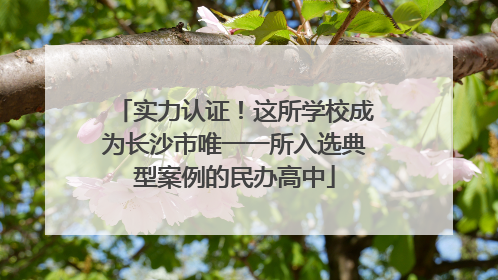 实力认证！这所学校成为长沙市唯一一所入选典型案例的民办高中