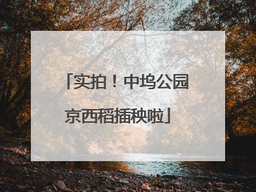 实拍！中坞公园京西稻插秧啦