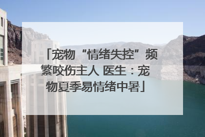 宠物“情绪失控”频繁咬伤主人 医生：宠物夏季易情绪中暑