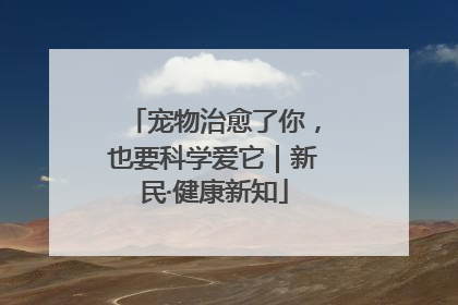 宠物治愈了你，也要科学爱它｜新民·健康新知
