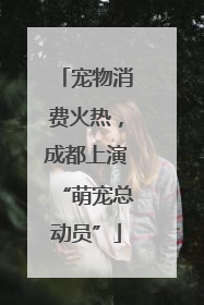 宠物消费火热，成都上演“萌宠总动员”