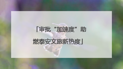 审批“加速度”助燃泰安文旅新热度