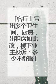 客厅上冒出多个卫生间、厨房，出租房如此改，楼下业主投诉：多少不舒服
