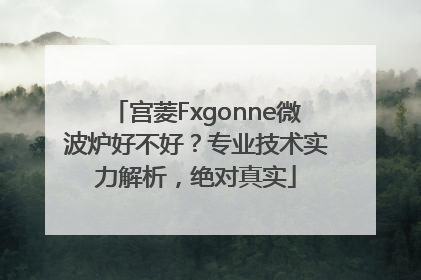 宫菱Fxgonne微波炉好不好？专业技术实力解析，绝对真实