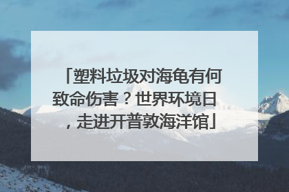 塑料垃圾对海龟有何致命伤害？世界环境日，走进开普敦海洋馆