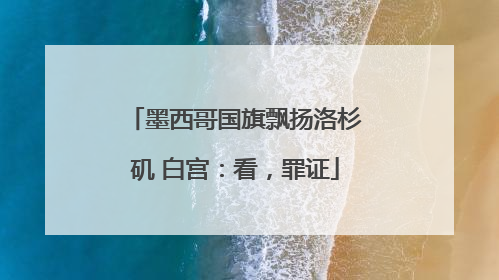 墨西哥国旗飘扬洛杉矶 白宫：看，罪证