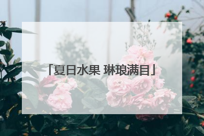 夏日水果 琳琅满目