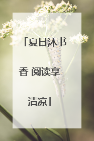 夏日沐书香 阅读享清凉