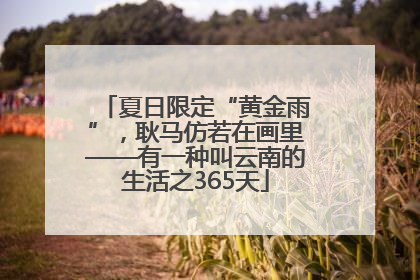 夏日限定“黄金雨”，耿马仿若在画里——有一种叫云南的生活之365天