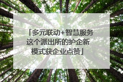 多元联动+智慧服务 这个派出所的护企新模式获企业点赞