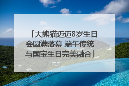 大熊猫迈迈8岁生日会圆满落幕 端午传统与国宝生日完美融合