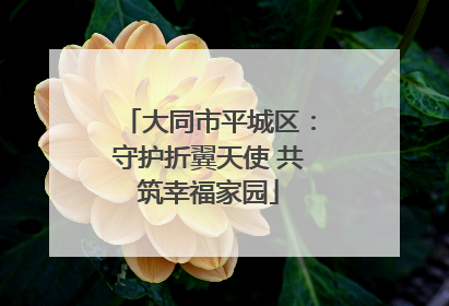 大同市平城区：守护折翼天使 共筑幸福家园