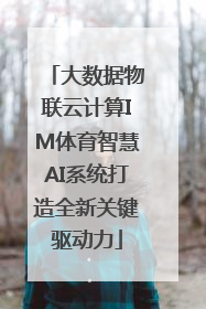 大数据物联云计算IM体育智慧AI系统打造全新关键驱动力