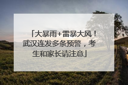 大暴雨+雷暴大风！武汉连发多条预警，考生和家长请注意