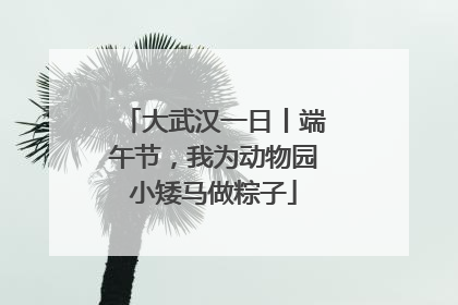大武汉一日丨端午节，我为动物园小矮马做粽子