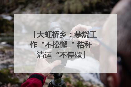 大虹桥乡：禁烧工作“不松懈“ 秸秆清运“不停歇