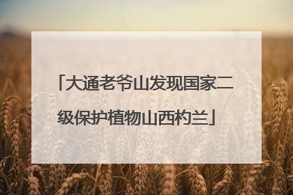 大通老爷山发现国家二级保护植物山西杓兰