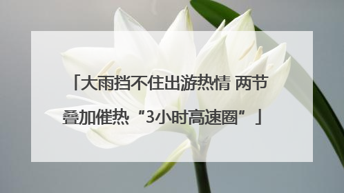 大雨挡不住出游热情 两节叠加催热“3小时高速圈”