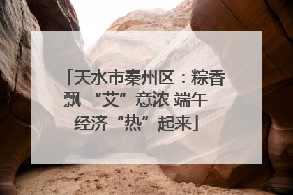 天水市秦州区：粽香飘 “艾”意浓 端午经济“热”起来