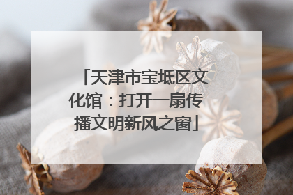天津市宝坻区文化馆：打开一扇传播文明新风之窗