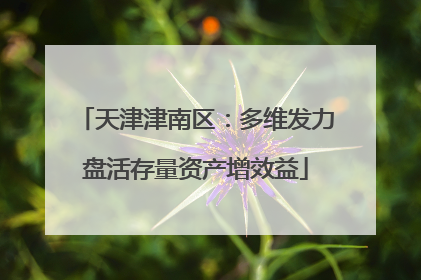 天津津南区：多维发力盘活存量资产增效益