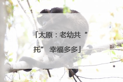 太原：老幼共“托” 幸福多多