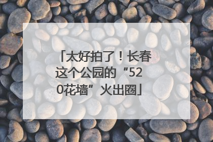 太好拍了！长春这个公园的“520花墙”火出圈