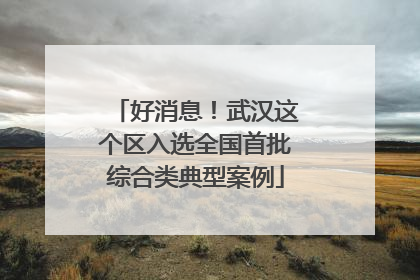 好消息！武汉这个区入选全国首批综合类典型案例