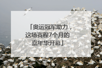 奥运冠军助力，这场赛程7个月的嘉年华开幕