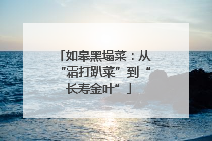 如皋黑塌菜：从“霜打趴菜”到“长寿金叶”