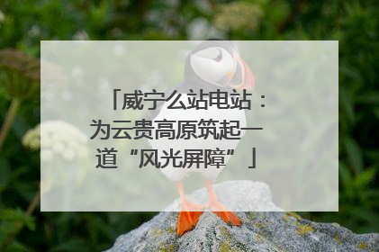 威宁么站电站：为云贵高原筑起一道“风光屏障”