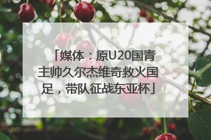 媒体：原U20国青主帅久尔杰维奇救火国足，带队征战东亚杯