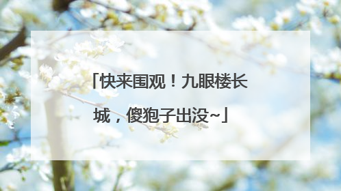 快来围观！九眼楼长城，傻狍子出没~