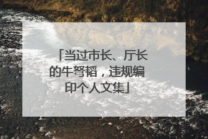 当过市长、厅长的牛弩韬，违规编印个人文集
