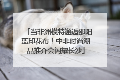 当非洲模特邂逅邵阳蓝印花布！中非时尚潮品推介会闪耀长沙