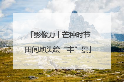 影像力丨芒种时节 田间地头绘“丰”景