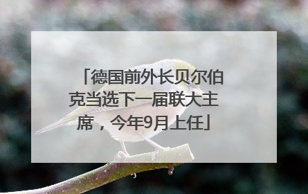 德国前外长贝尔伯克当选下一届联大主席，今年9月上任