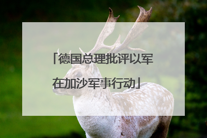 德国总理批评以军在加沙军事行动