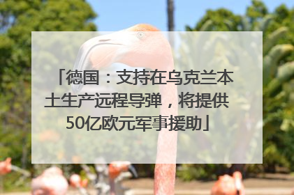 德国：支持在乌克兰本土生产远程导弹，将提供50亿欧元军事援助