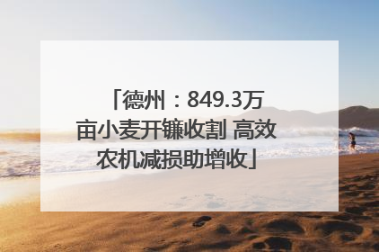 德州：849.3万亩小麦开镰收割 高效农机减损助增收