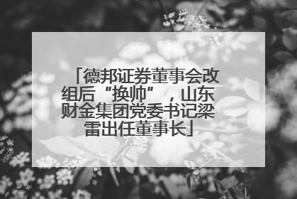 德邦证券董事会改组后“换帅”，山东财金集团党委书记梁雷出任董事长