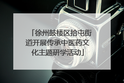 徐州鼓楼区拾屯街道开展传承中医药文化主题研学活动