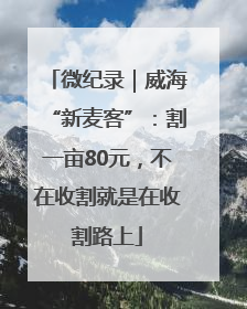微纪录｜威海“新麦客”：割一亩80元，不在收割就是在收割路上