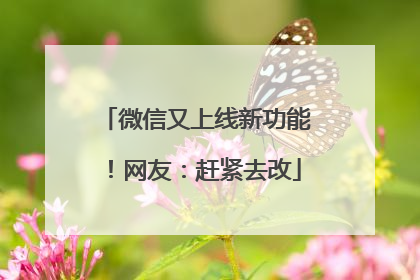 微信又上线新功能！网友：赶紧去改