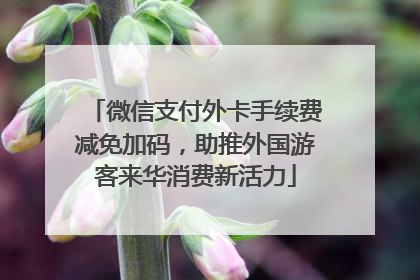 微信支付外卡手续费减免加码，助推外国游客来华消费新活力