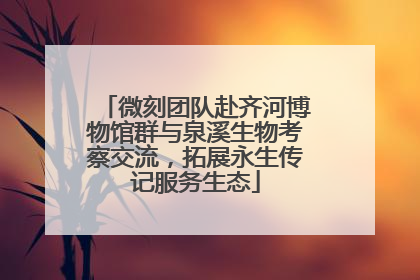 微刻团队赴齐河博物馆群与泉溪生物考察交流，拓展永生传记服务生态