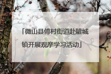 微山县傅村街道赴驩城镇开展观摩学习活动