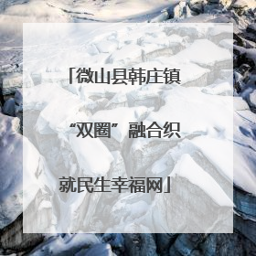 微山县韩庄镇“双圈”融合织就民生幸福网
